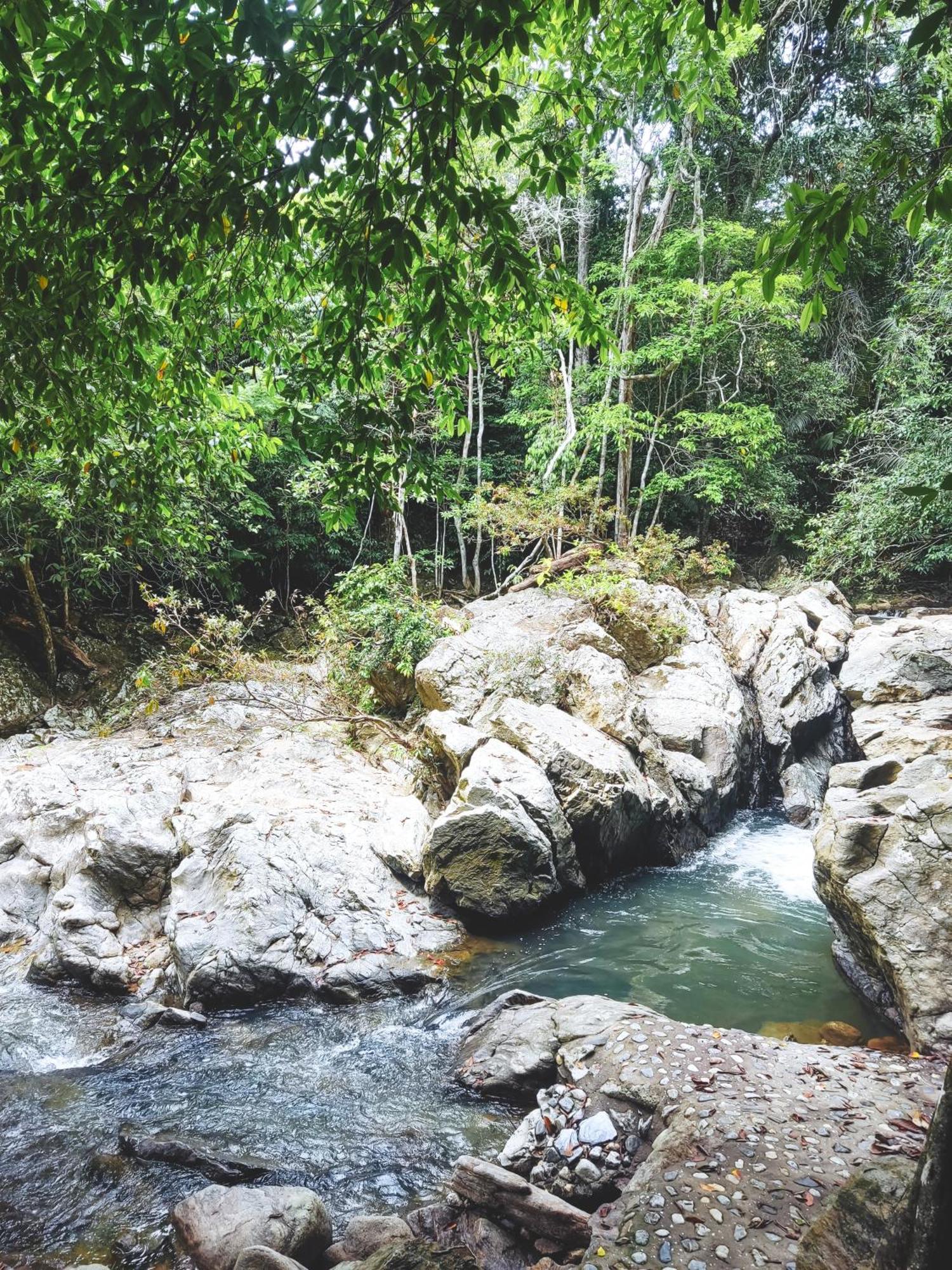 Entreaguas Ecolodge Doradal Exteriör bild